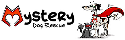 Mystery Dog Rescue