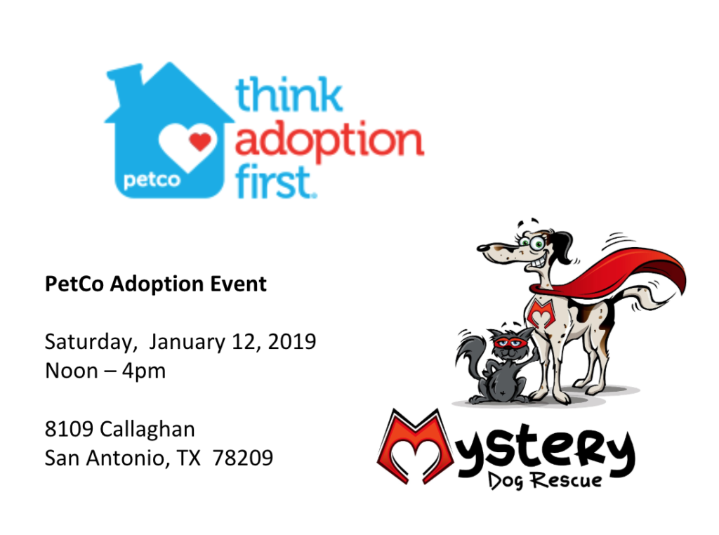 Pet Co Adoption event