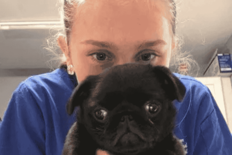 6 Inspiring Ways to Support a Child Who Dreams of Becoming a Veterinarian