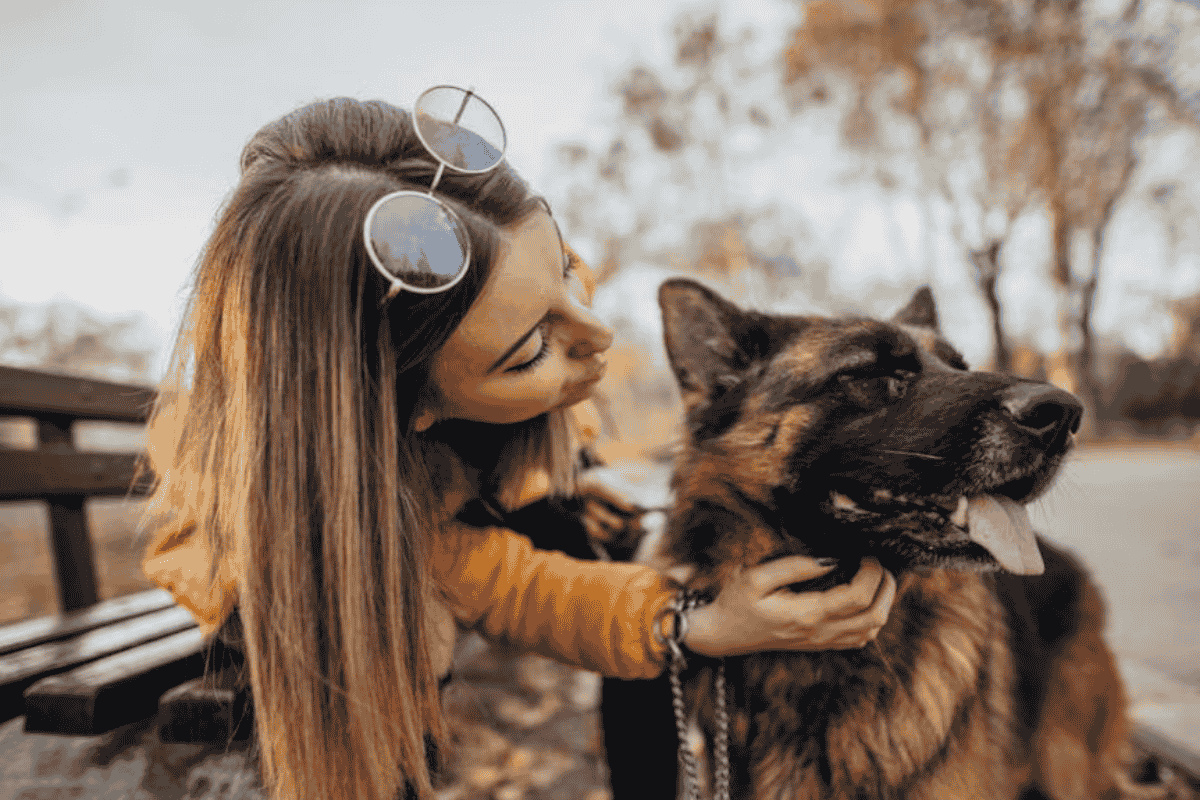 Adopting a Dog With Lyme Disease: What You Need to Know
