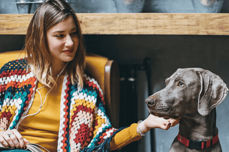 Caring for Senior Dogs: Health, Nutrition, and Well-Being