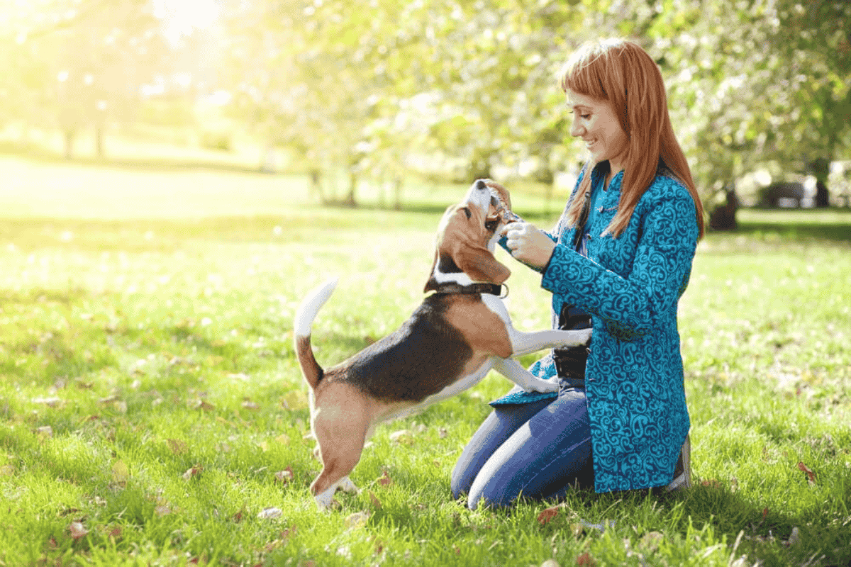 Does Your Dog Trust You? Six Signs and How to Build It