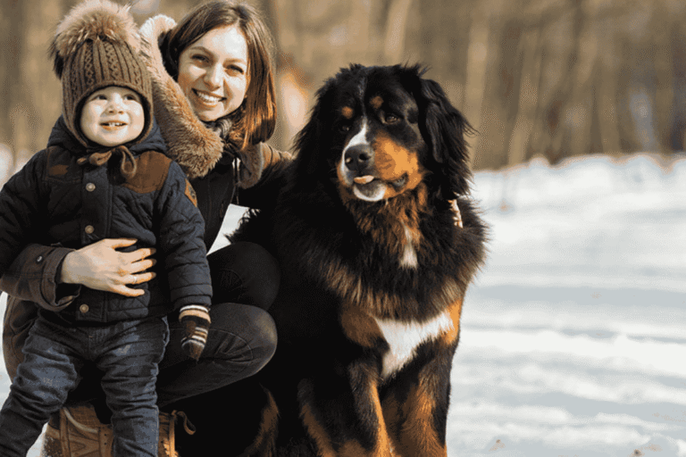 Dog Breeds Most Vulnerable to Cold Weather