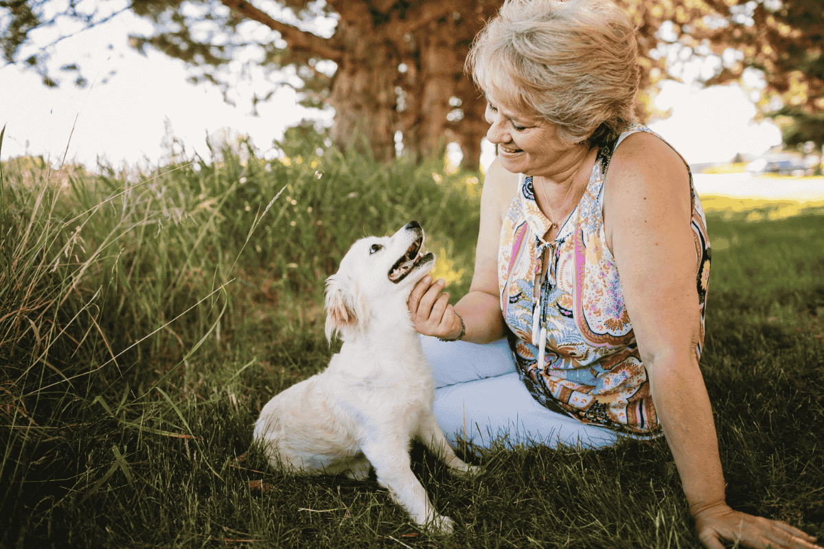 How To Socialize a Dog: Tips, Checklists, and Best Practices