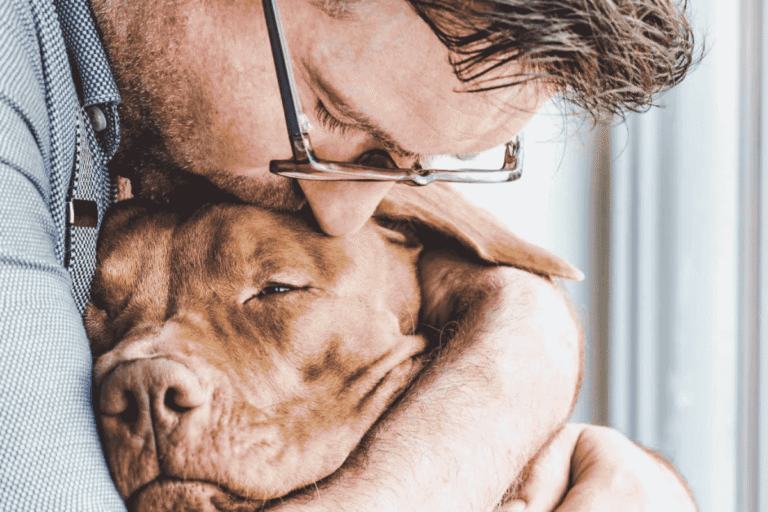 Knowing When It’s Time: Understanding End-of-Life Care for Dogs