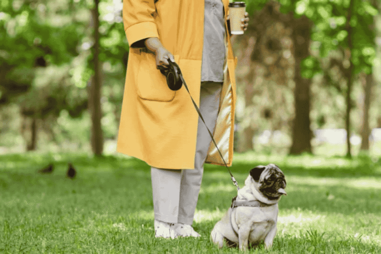 Retractable Leashes: Risks, Safety Concerns, and Better Alternatives