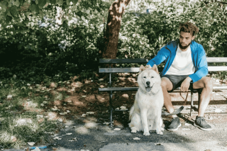 Tips for Taking Your Dog in Public: Safety, Comfort, and Etiquette