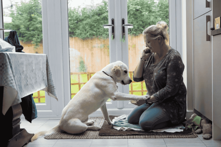 Welcoming a New Dog into Your Family: A Practical Guide