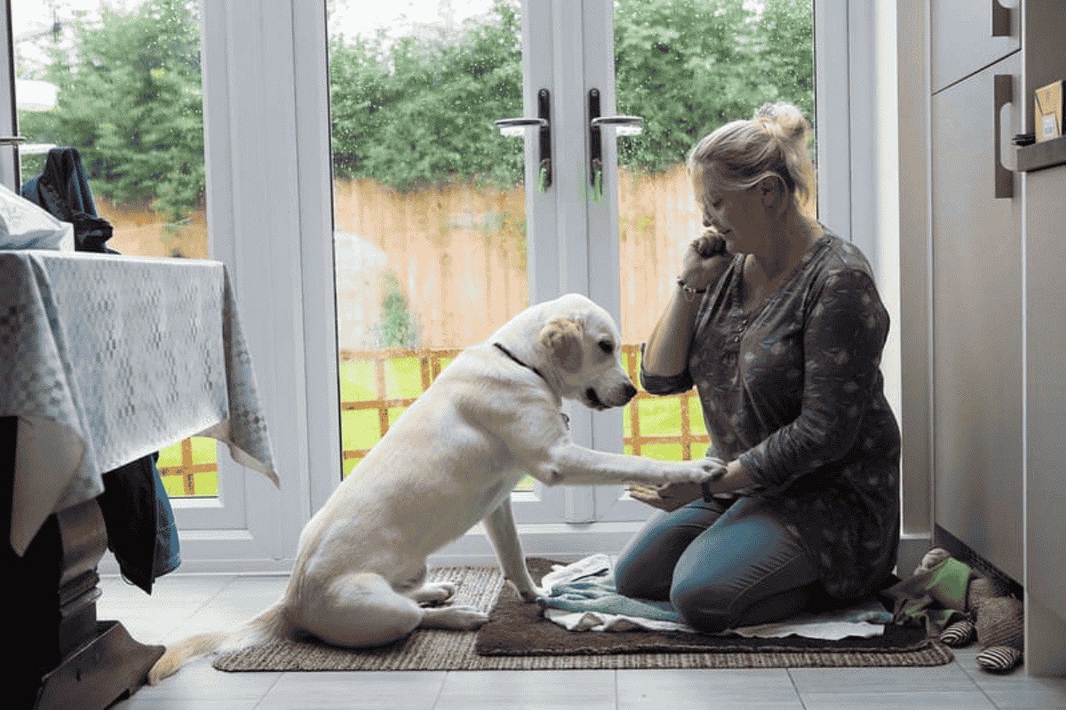 Welcoming a New Dog into Your Family: A Practical Guide