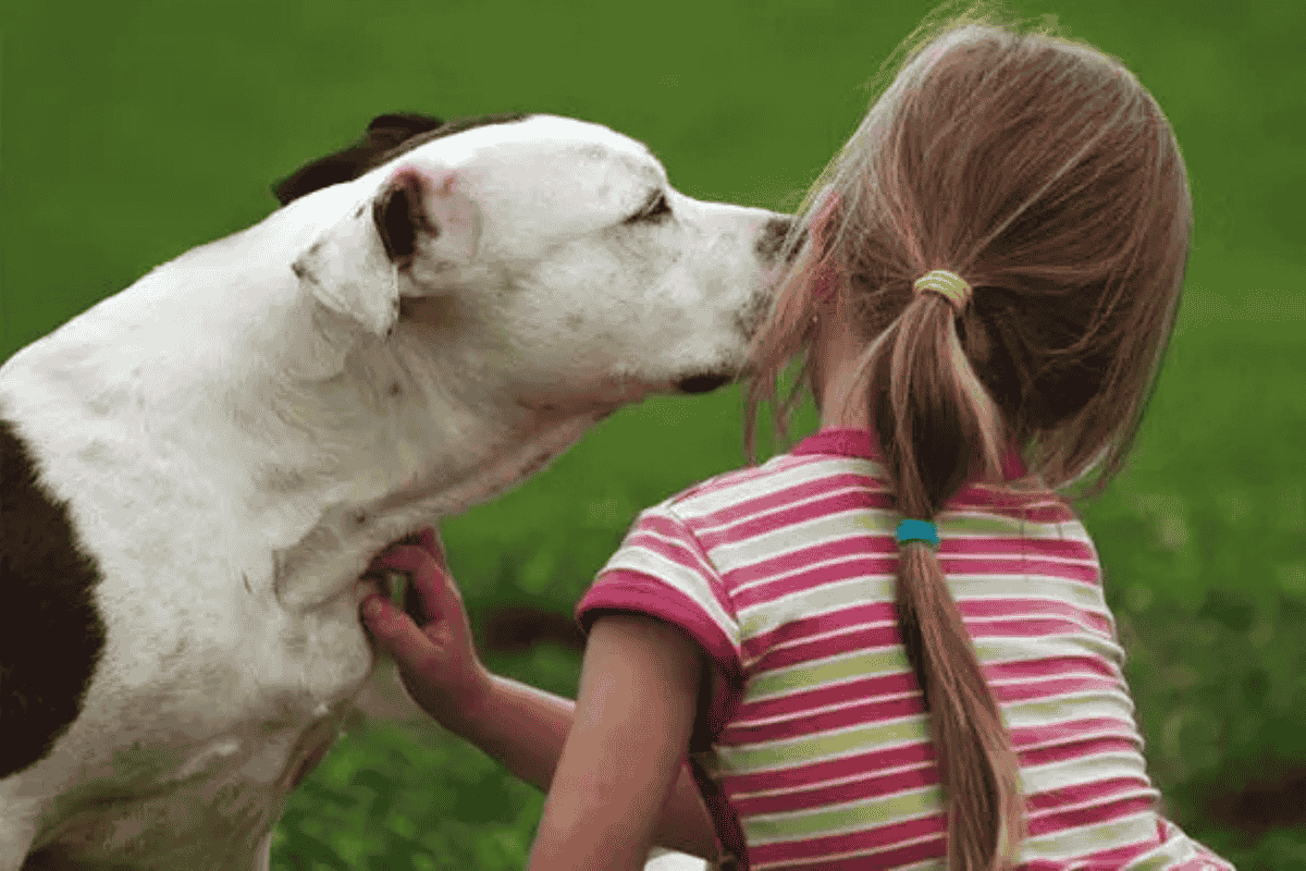 Why Breed-Neutral Dangerous Dog Laws Protect Communities Better