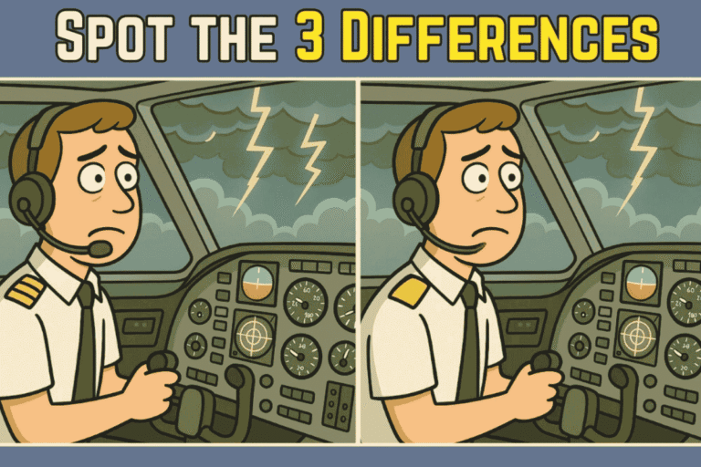 7-Second Challenge: Spot the 3 cockpit image changes as the pilot’s mic vanishes, a lightning bolt fades, and a gold stripe quietly disappears