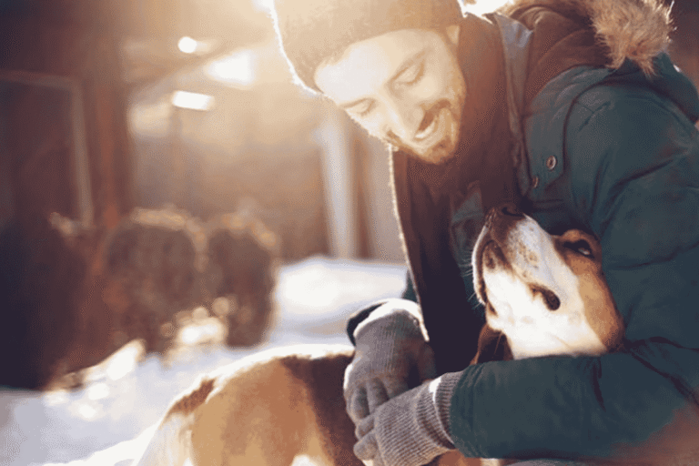 Are Hand Warmers Toxic to Dogs?