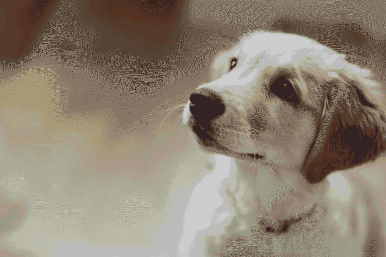 Puppy Training Guide: How to Train Your Puppy Step-by-Step