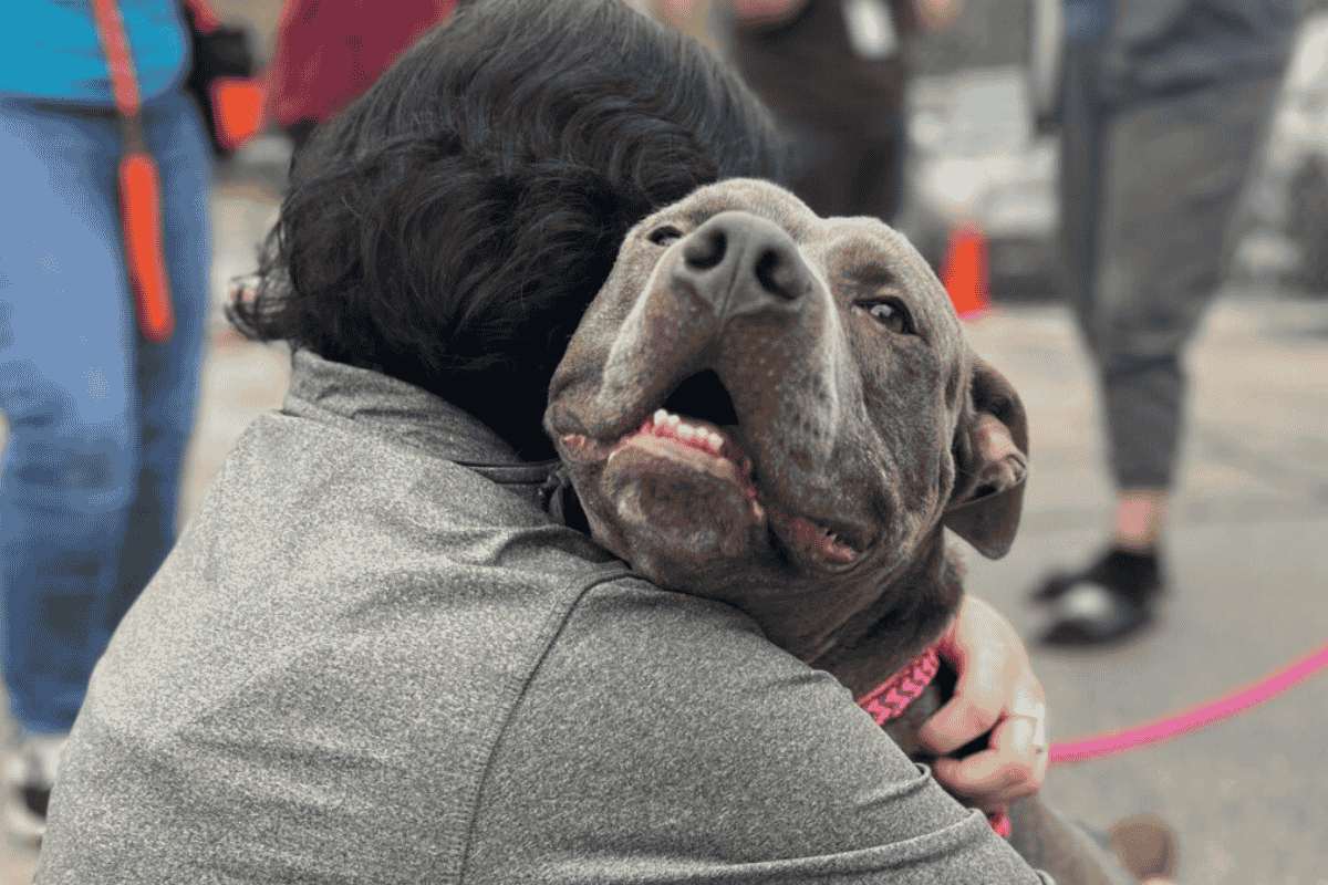 Why Breed-Specific Legislation is Wrong
