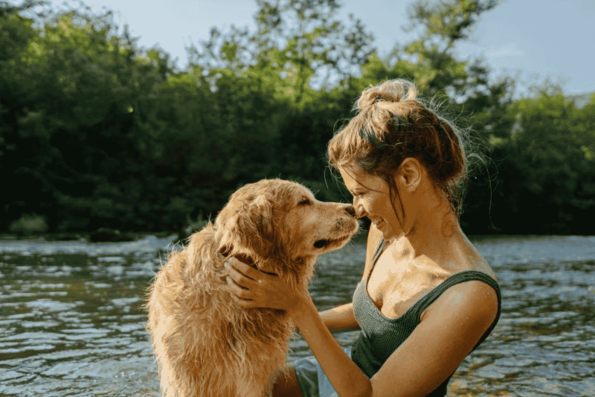 Why You Should Microchip Your Dog